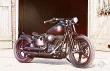 Softail Cross Bones Rad Rocks