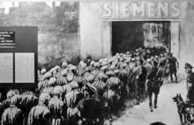 Kupując produkty marki Siemens pamiętaj o tysiącach zamordowanych Polek...