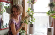 Brand New Windowfarms- Vertical Food Gardens