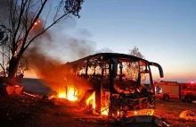 Palestyńczycy chwalą się wysadzeniem izraelskiego autobusu.