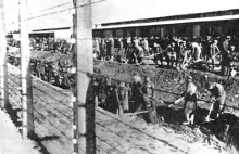 Cele i zadania niemieckich obozów koncentracyjnych wobec narodu polskiego