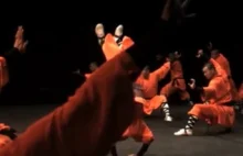 Mnisi z Shaolin w bardzo zwolnionym tempie - wideo