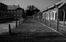71 lat temu Armia Czerwona otworzyła bramy obozu Auschwitz.