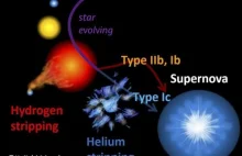 Gwiazdy eksplodujące jako supernowe tracą swoją masę na rzecz swoich towarzyszy