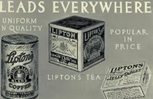 Produkcja herbaty oczyma Thomasa Liptona