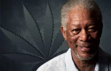Morgan Freeman: Jedyne co uśmierza mój ból to marihuana | | Świat...