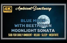 Ambient Music | Blue Moon | With Beethoven Moonlight Sonata | 4K UHD | 2...