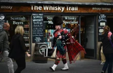 Szkocja jako pierwsza na świecie wprowadza cenę minimalną na... alkohol!