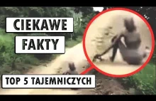 5 Najbardziej tajemniczych stworzeń na naszej planecie | CIEKAWE FAKTY...