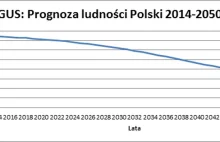 Czy ZUS zbankrutuje? Co wynika z prognoz?