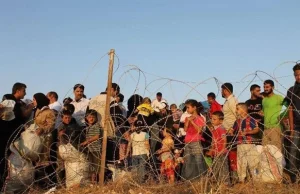 Do Turcji uciekło w ciągu ostatniej doby ponad 3,5 tys. Syryjczyków