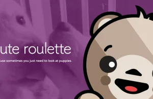 Cute Roulette: Instant GIFs of cute animals