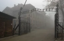 Sondaż: 4 na 10 młodych Niemców nie wie, co to Auschwitz
