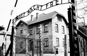 IPN upubliczni bazę danych "Załoga SS KL Auschwitz"