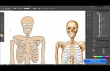 How to draw cartoon skeleton for halloween in adobe illustrator using bl...