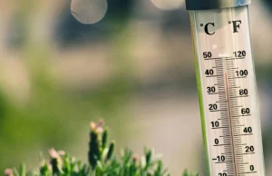 Francja: Wysokie temperatury przyczyną śmierci niemal 1,5 tys. osób