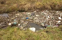 Zanieczyszczona rzeka w Dolinie Dolnego Sanu