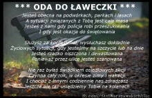 Uliczna poezja - oda do ławeczki