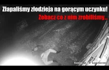 Złapaliśmy złodzieja na gorącym uczynku. Zobacz co z nim zrobiliśmy. Dla...