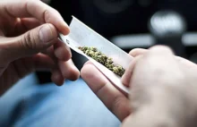 Pracodawcy z Kolorado mogą wyrzucić za palenie legalnej marihuany | Ze...