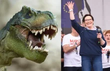 Dziś jest Dzień Dinozaura - NIE rzucać kamieni!