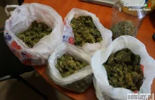 Wpadli z czterema kilogramami marihuany • Wodzisław Śląski