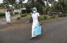 Francja przygotowuje się na możliwy atak wirusa Ebola