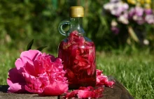Nowości i recenzje kosmetyczne: Kwiat i korzeń piwonii pomocny w leczeniu...