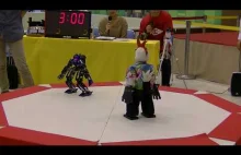 Zawody w walkach robotów