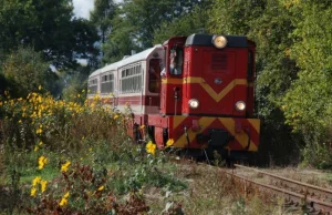 Na Majówkę przejazd wąskotorówką