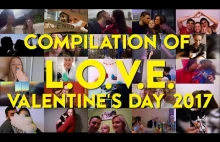 Compilation of LOVE - Valentine's Day 2017