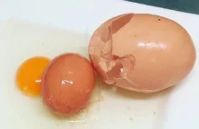 Rolnik znalazł ogromne jajko. W jego wnętrzu było kolejne