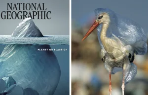 Wszyscy oklaskują okładkę National Geographic