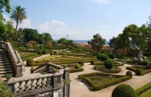 Ogród Ajuda – najstarszy ogród botaniczny w Portugalii