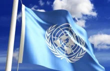 Chcesz pracować dla ONZ? Young Professionals Programme to najlepsza droga