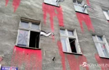 Szczecin - miasto chce zamalować mural z kamienicy przeznaczonej do wyburzenia