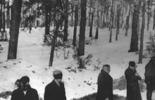 Las w Palmirach - niemy świadek zbrodni Niemców na Polakach