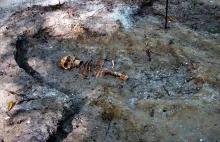 Na Westerplatte odnaleziono szczątki jego bohaterskich obrońców!