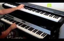 Yamaha CP4 Compare Fender Rhodes Rhodes