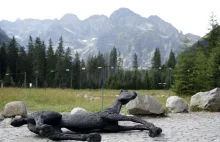 Morskie Oko: Ludzie ciągnęli rzeźbę umierającego konia
