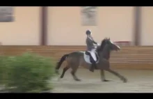 Jeździec to tylko przeszkoda. Prawdziwy koń skacze płotki samemu.