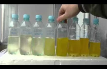 Próbki oleju napędowego po 24h w temperaturze -18℃