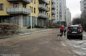 Co może bogaty w Polsce.