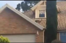 Jakie zwierzę można spotkać w Australii na dachu? :)