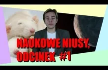 Naukowe Njusy #1 - szczury, wężowidła i TRAPPIST-1