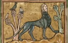 Dziwne stwory ze średniowiecznych rękopisów [galeria]