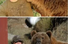 Facet znalazł dwa niedźwiadki przy ich zmarłej matce, odchował jednego z nich