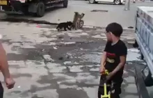 Pies goni małpę jadącą na rowerze.