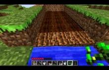 Minecraft - Zboże wideorecenzja