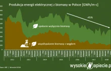 Rząd za 20 mld zł zamieni węgiel na biomasę z Indonezji?